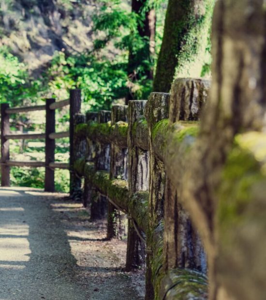 WHY CHOOSE HAULNJUNK FOR FENCE REMOVAL